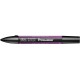  PURPLE (V546)